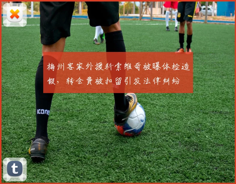 梅州客家外援科索维奇被曝体检造假,转会费被扣留引发法律纠纷